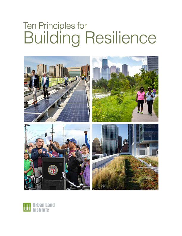 Ten Principles for Building Resilience
