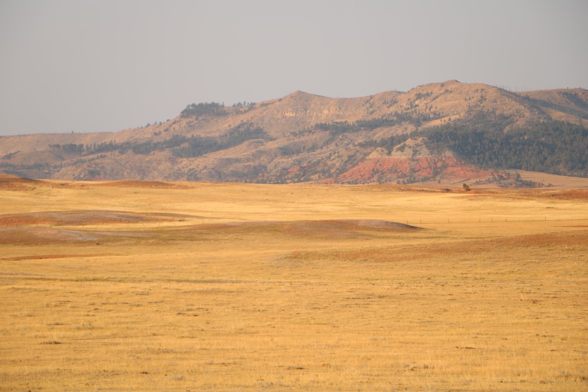 Dry Pasture U.S. Climate Resilience Toolkit