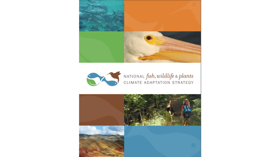 National Fish-Wildlife and Plants plan cover