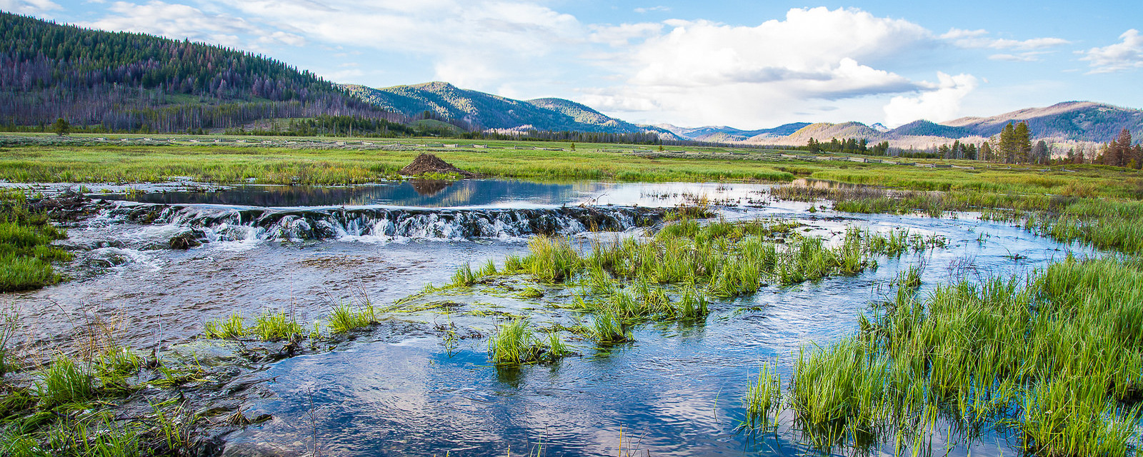 Climate Change Vulnerability Assessment Tool for Coastal Habitats (CCVATCH)