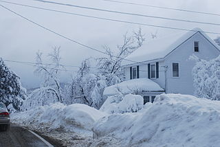 Winter Weather Forecasts