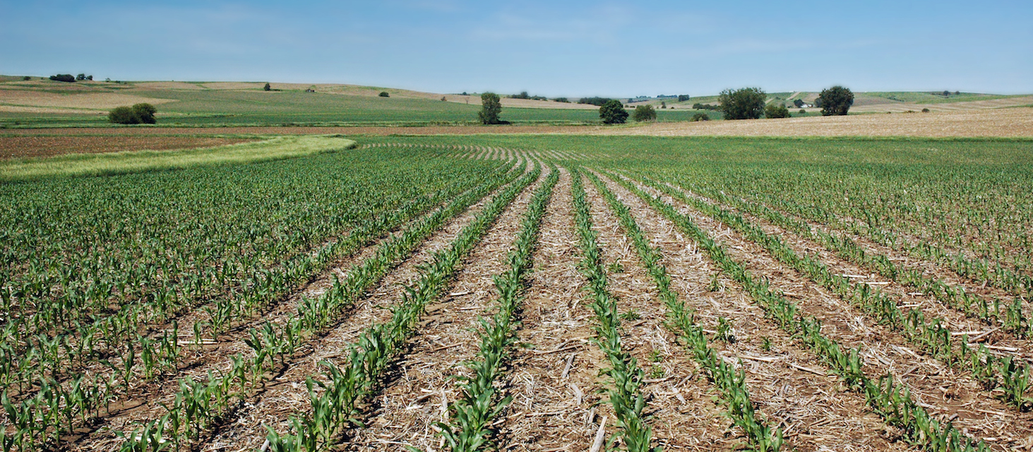 Better Soil, Better Climate