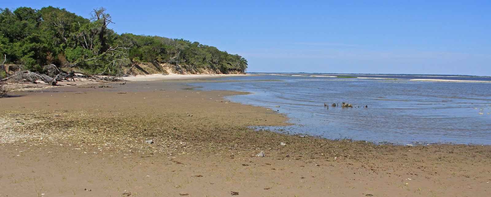 Burbank Point, Cumberland Island, Cumberland Island National Seashore, Camden County, Georgia Vegetated land and sand beach along coast