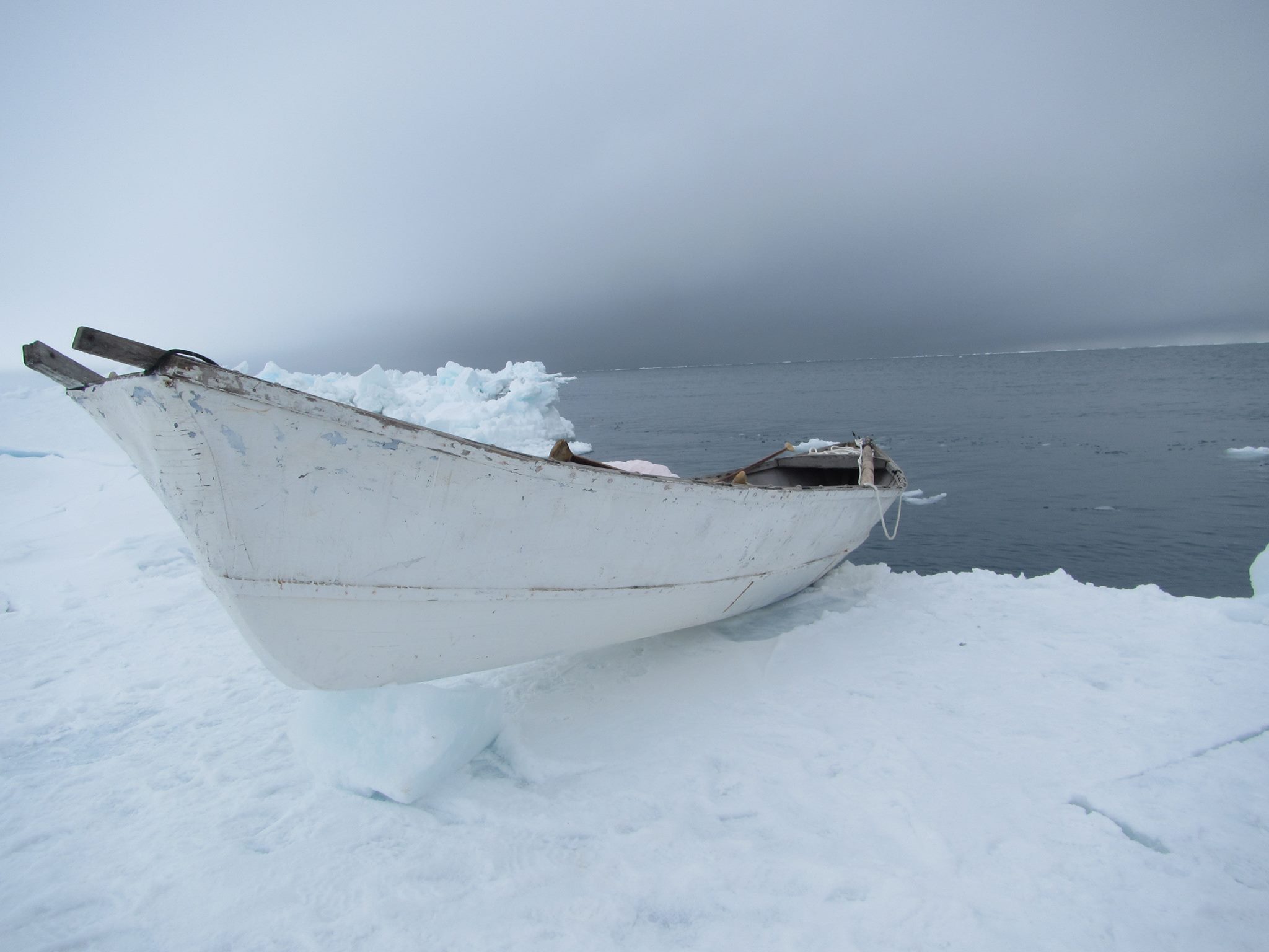 Alaska Arctic Observatory and Knowledge Hub