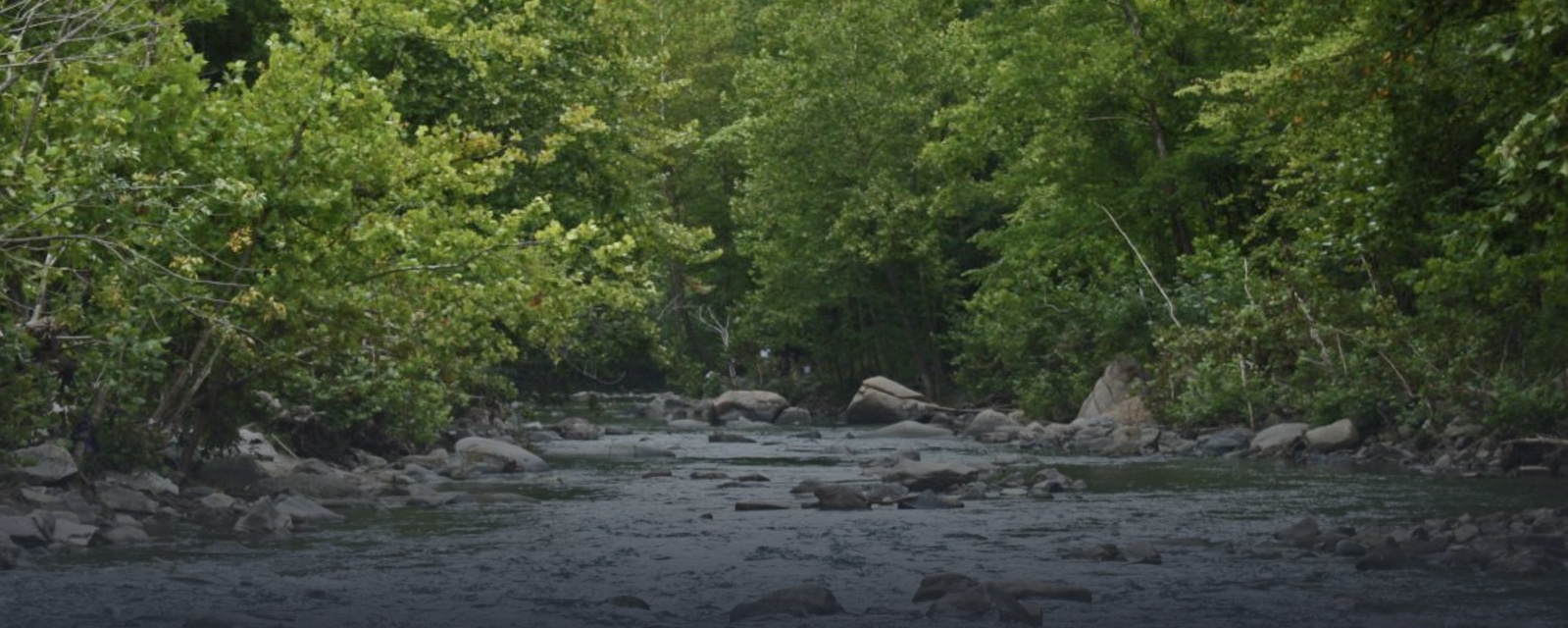 American Rivers: Increasing Community and Ecological resilience by Removing a Patapsco River Fish Barrier