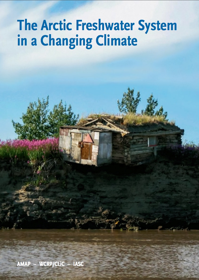 The Arctic Freshwater System in a Changing Climate