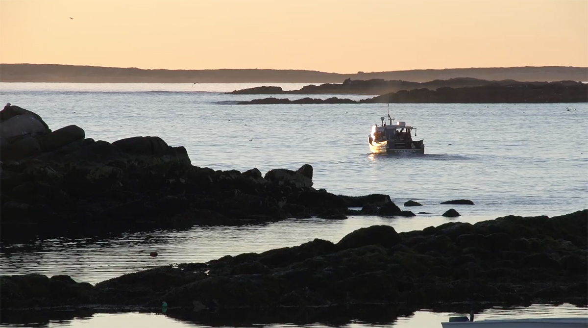 Maine's Lobster Fishing Community Confronts Their Changing Climate