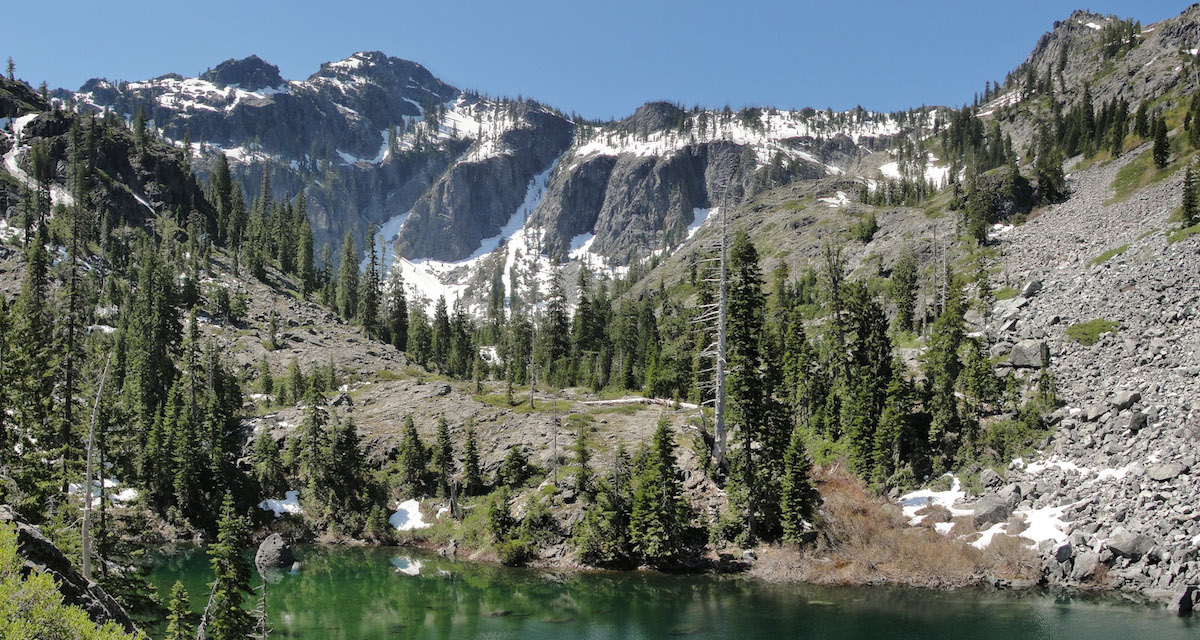 Anticipating and Preventing the Spread of Invasive Plants