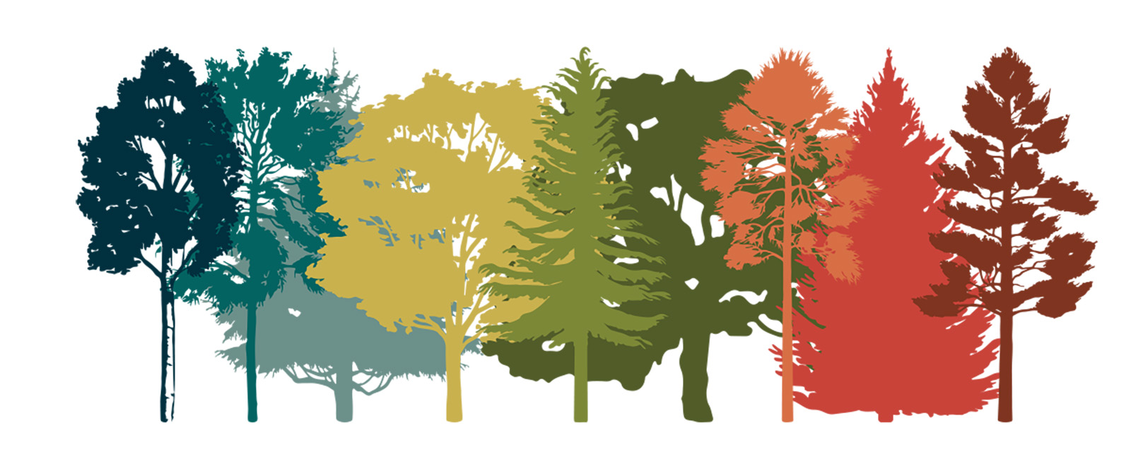 Climate Change Field Guide for Northern Wisconsin Forests
