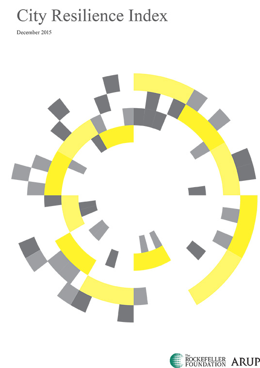 City Resilience Index
