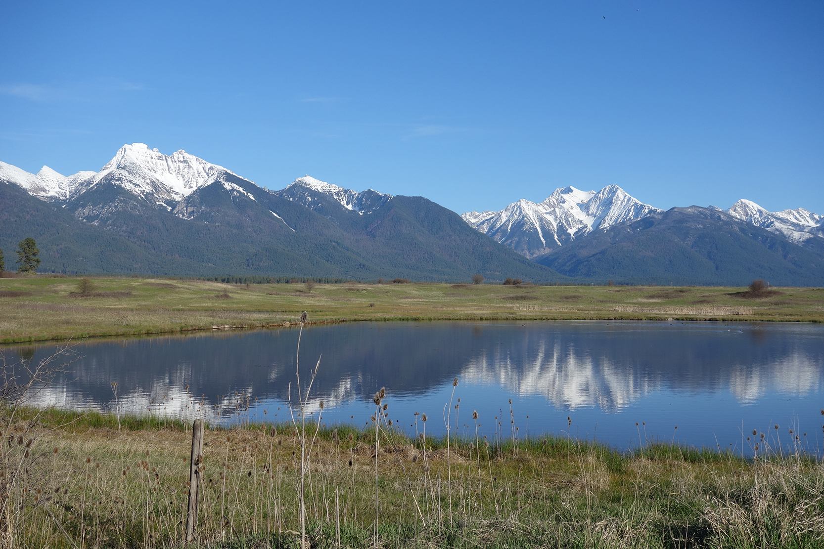 Confederated Salish and Kootenai Tribes: Applying the Values Taught by Our Ancestors