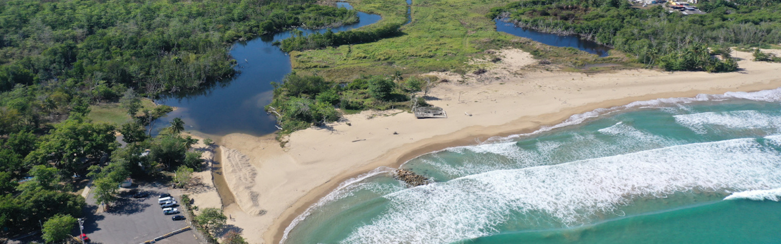 Using Novel Approaches To Create Resilient Dune Systems
