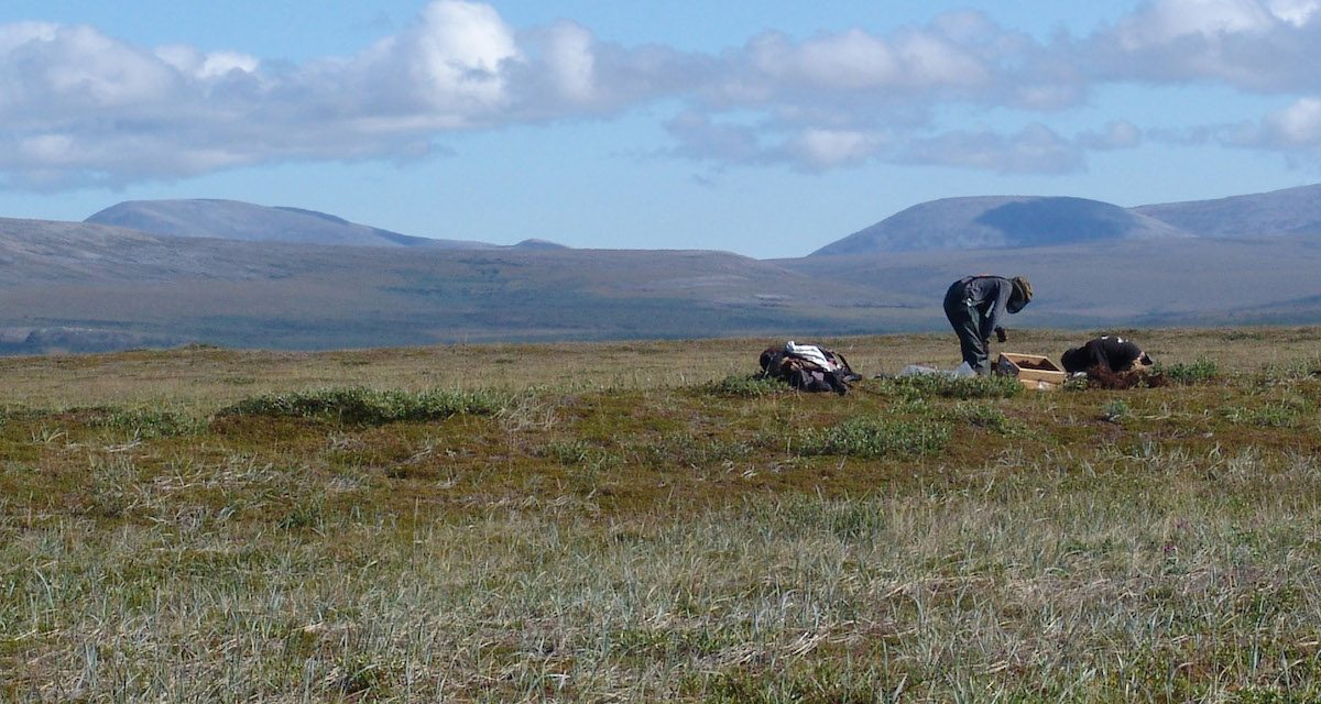 Developing Monitoring Programs for Protected Lands in Alaska