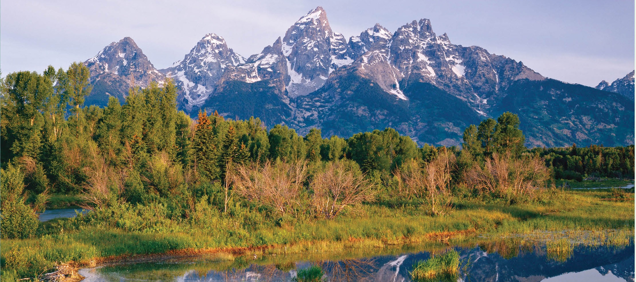 Climate-Smart Conservation: Putting Adaptation Principles into Practice