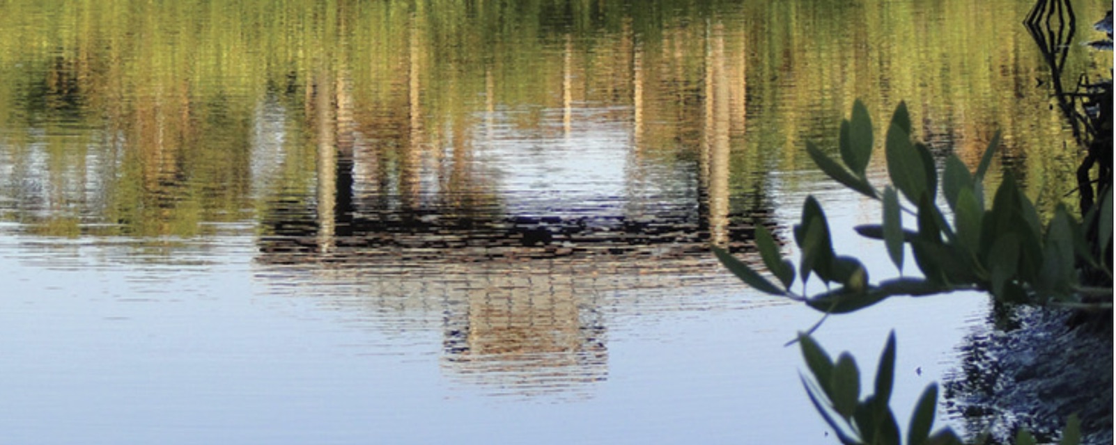 Coastal Community Resilience Planning Guide — Louisiana
