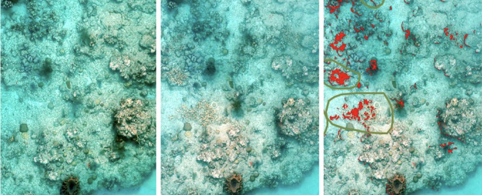 Caribbean Marine Maps