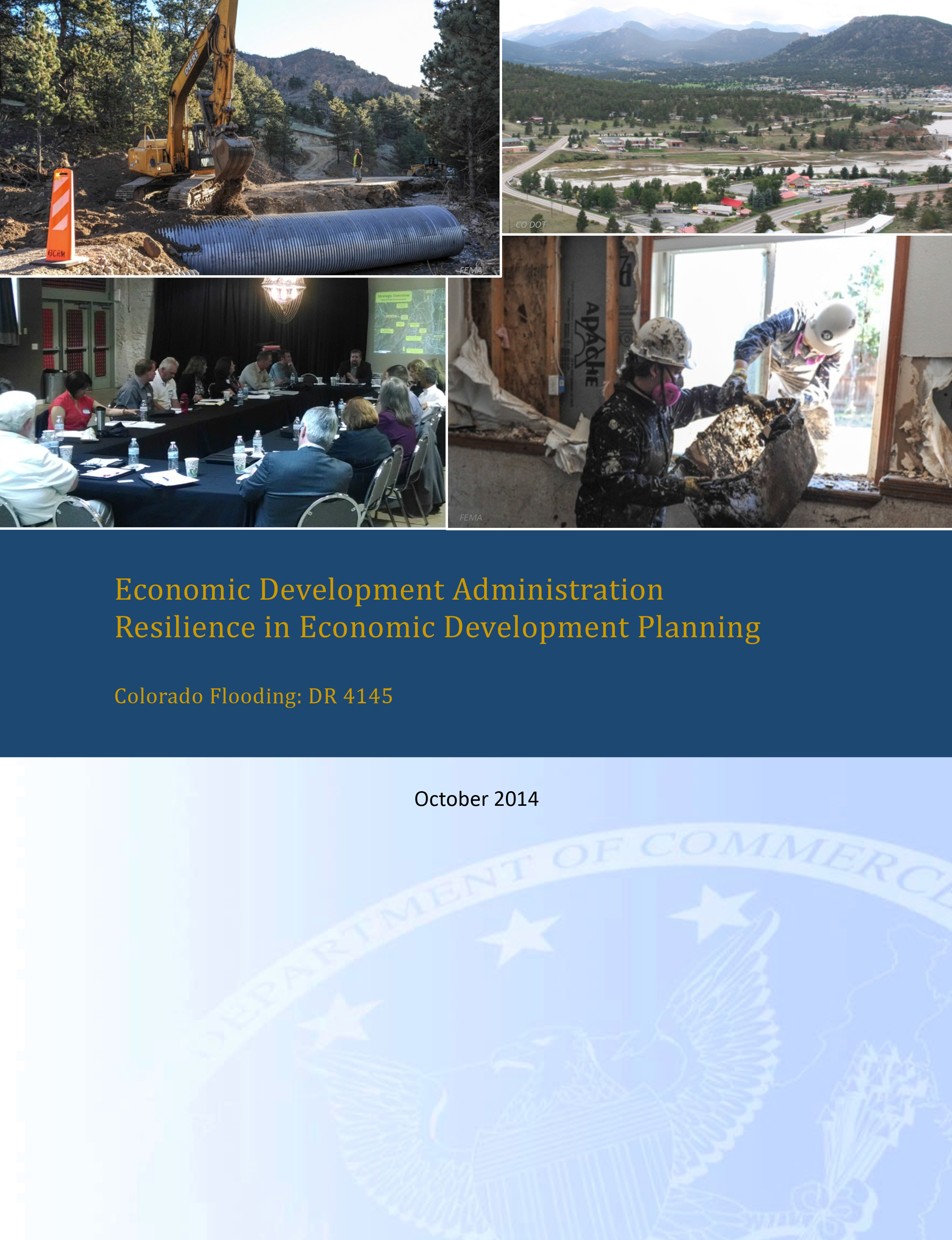 Resilience in Economic Development Planning