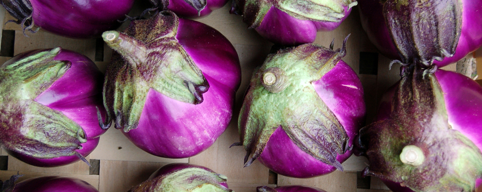 Eggplant from a farm in New Hampshire