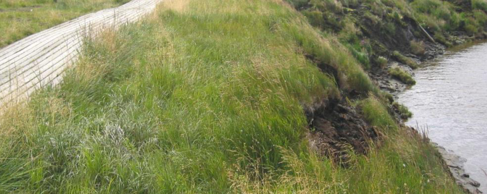 Understanding and Evaluating Erosion Problems