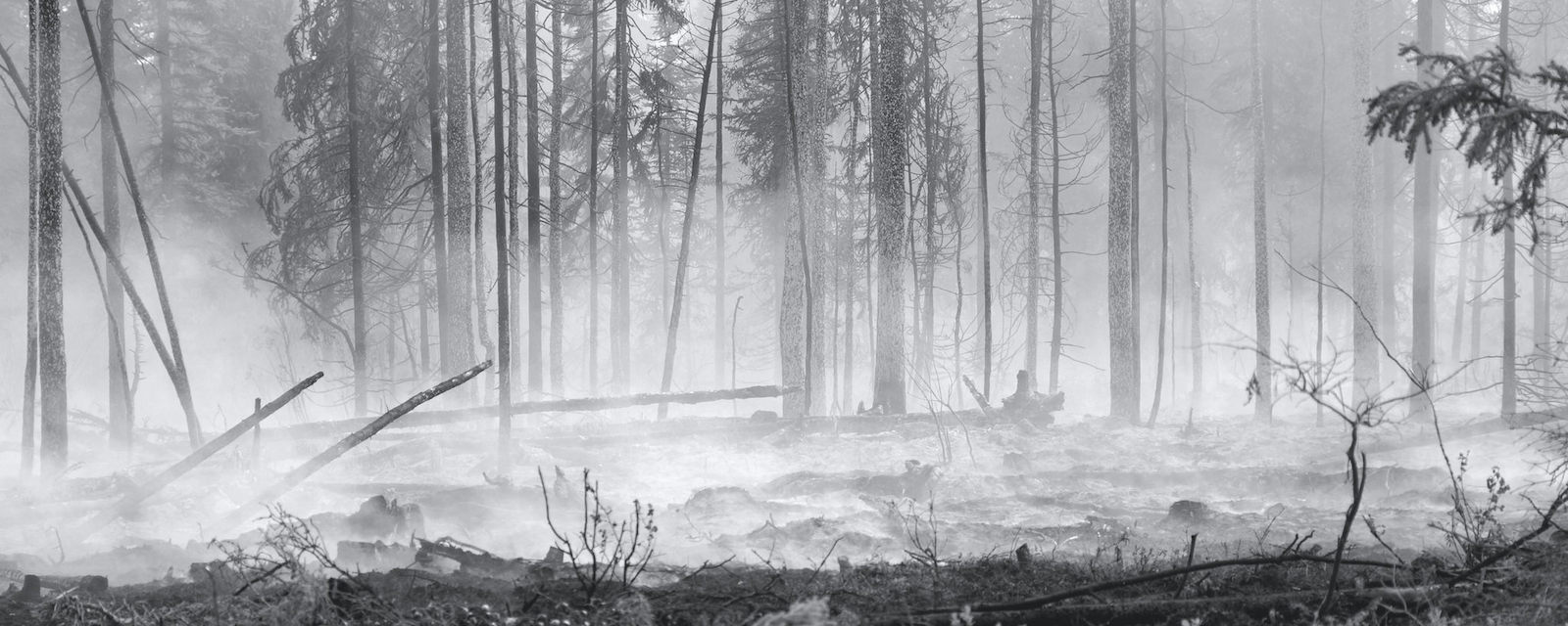 Battling Blazes Across Borders