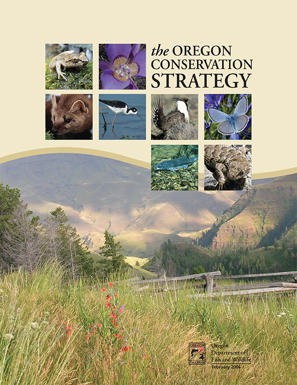 Conservation Strategy | State of Oregon