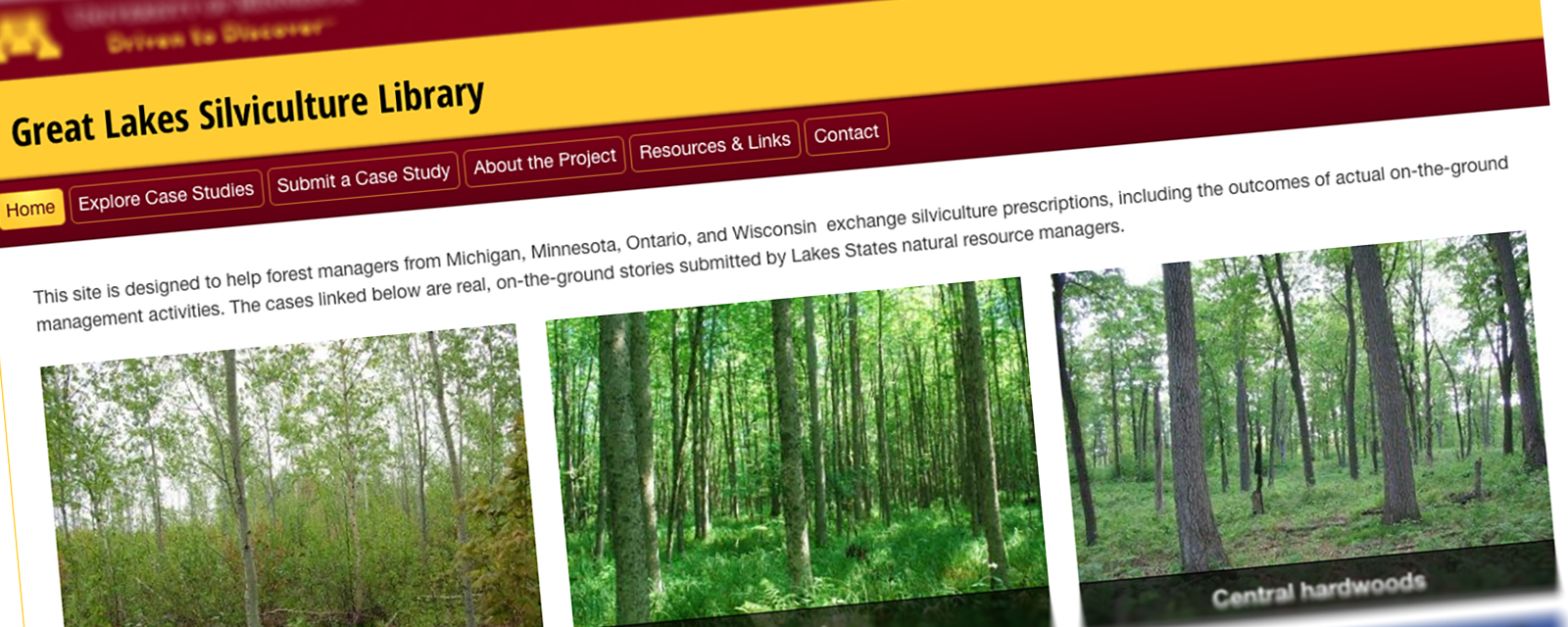 Great Lakes Silviculture Library