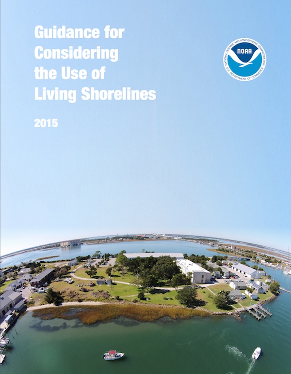 Guidance for Considering the Use of Living Shorelines