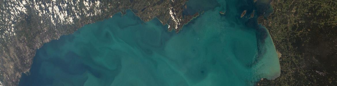 Keeping Toxins From Harmful Algal Blooms out of the Food Supply
