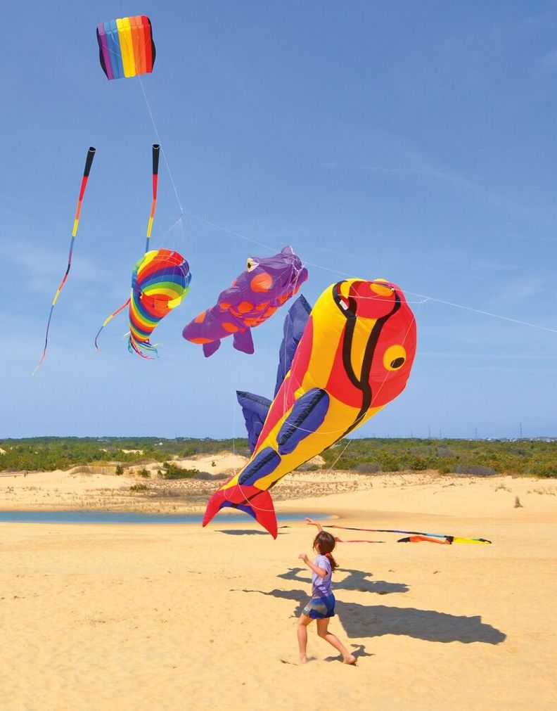 Flying kites on the beach near Nags Head U.S. Climate Resilience Toolkit