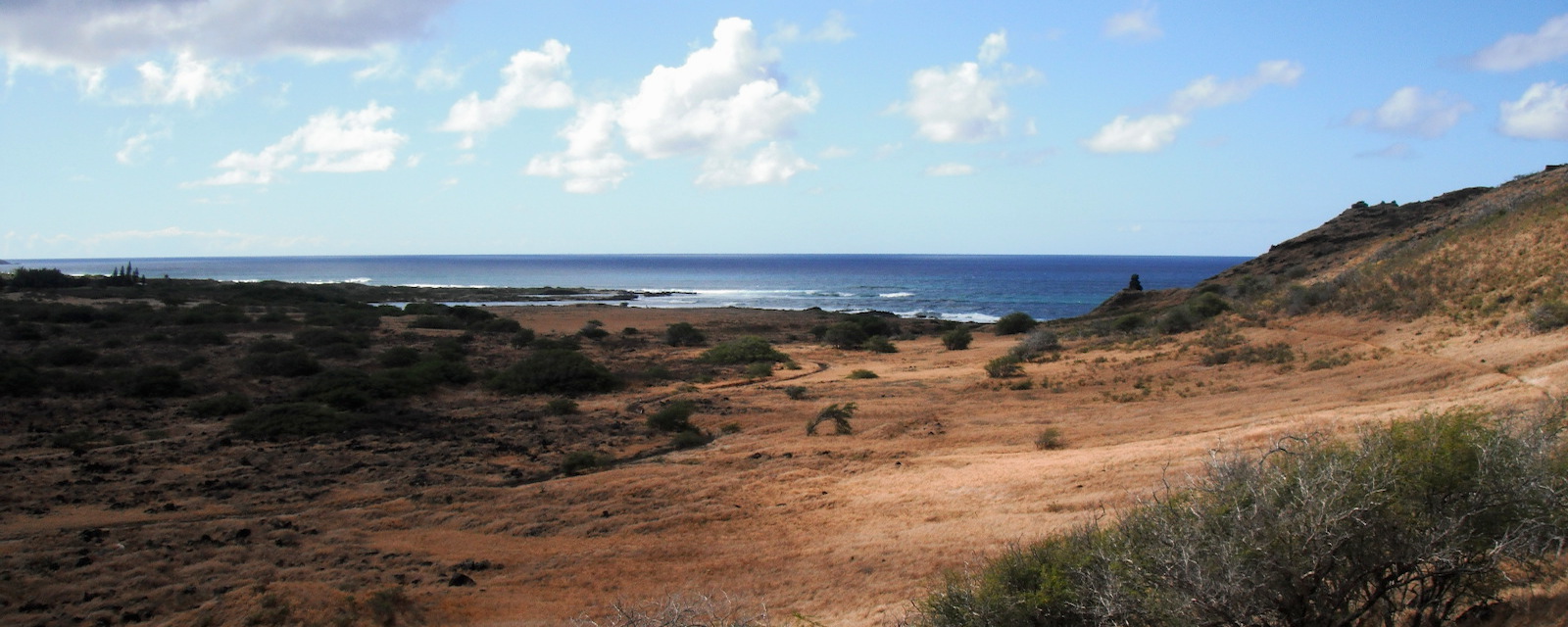 Dry ranch land on Hawai'i Dry ranch land on Hawai'i