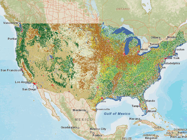 Land cover (2011)