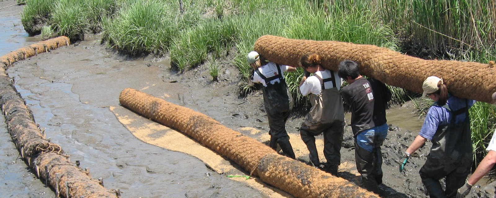 Community Resource Guide for Planning Living Shorelines Projects