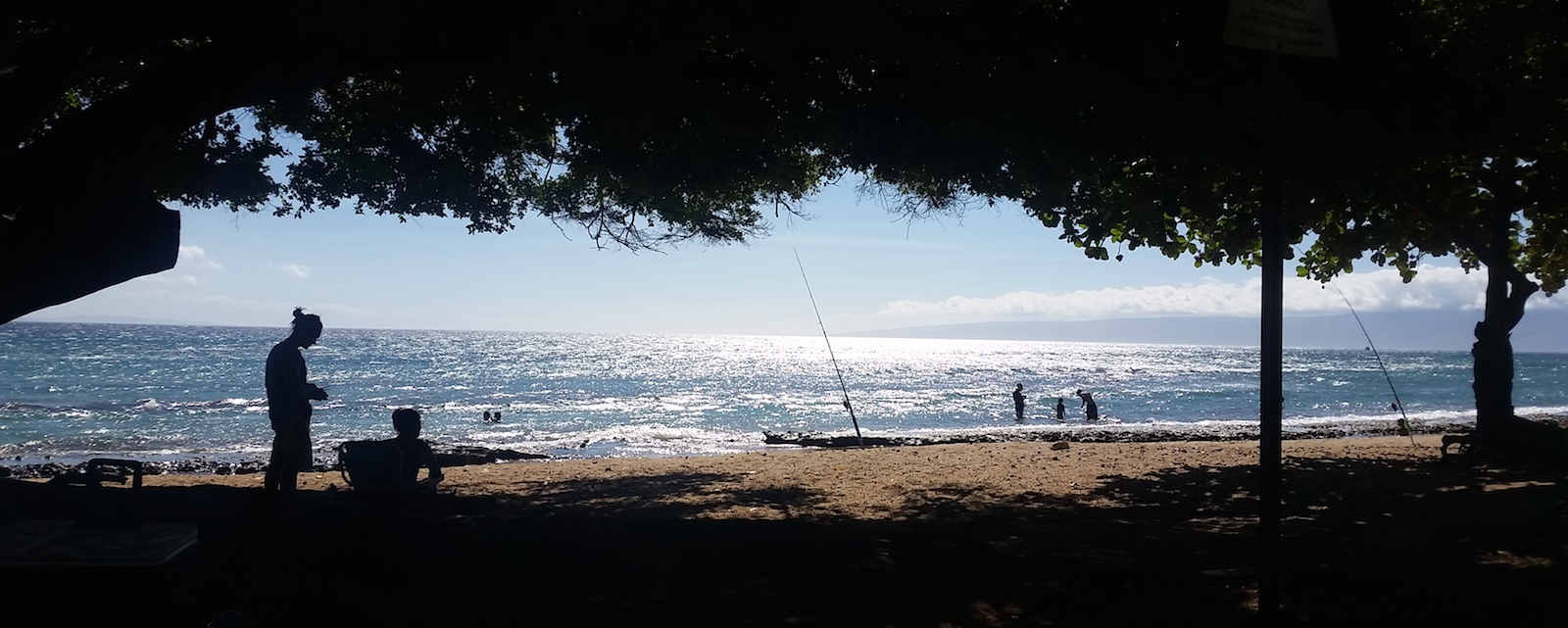 People fishing off a shady beach People fishing off a shady beach