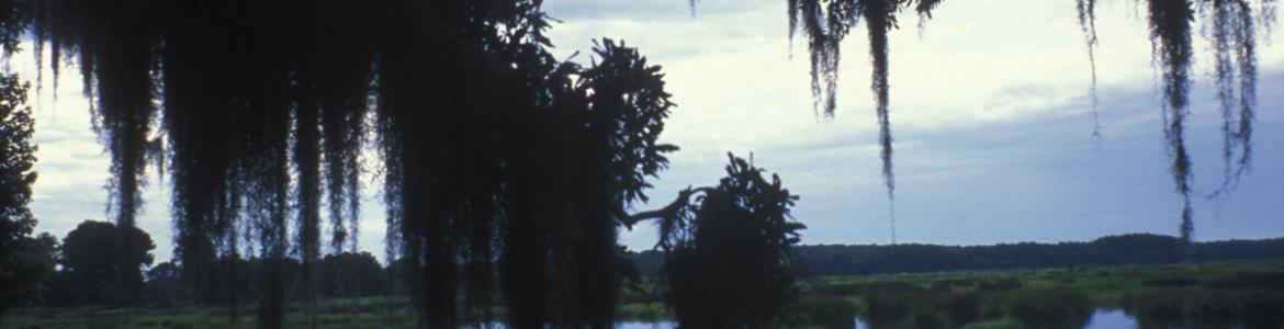 Setting Conservation Priorities for Preserving Wildlife Habitat