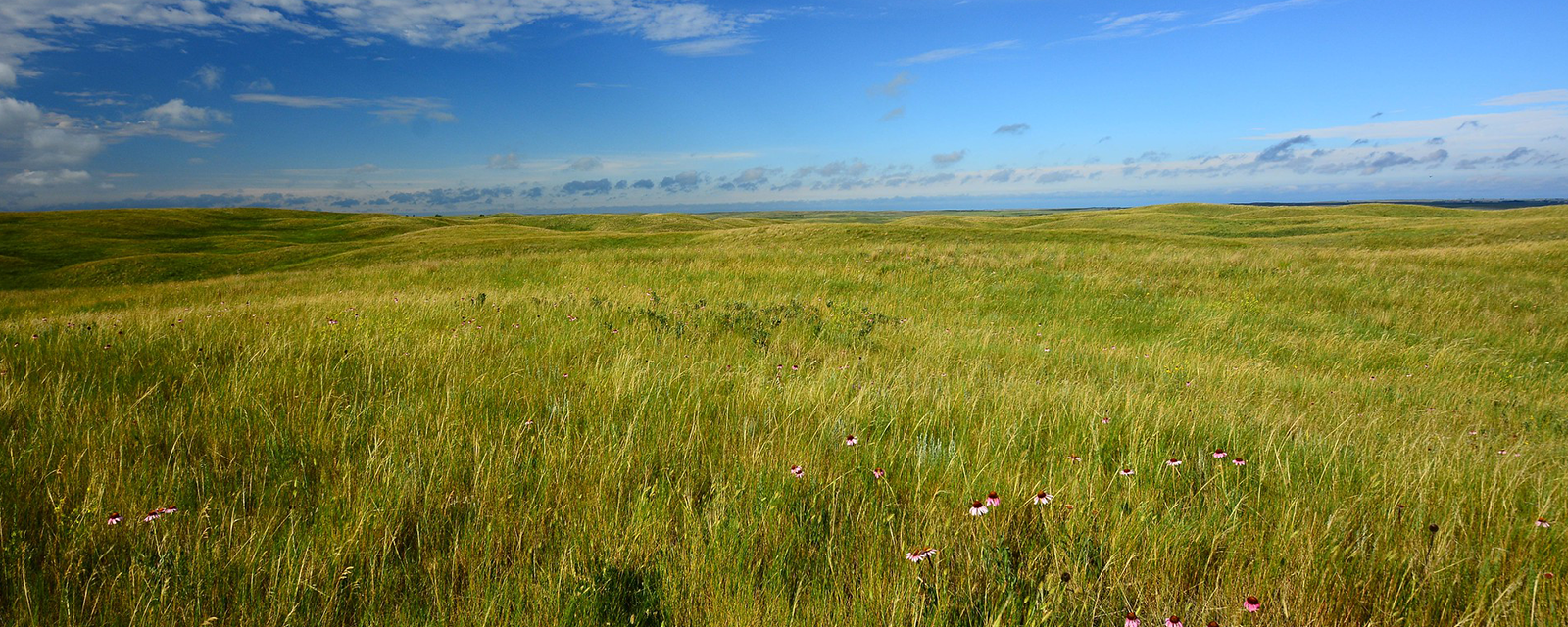 Northern Great Plains