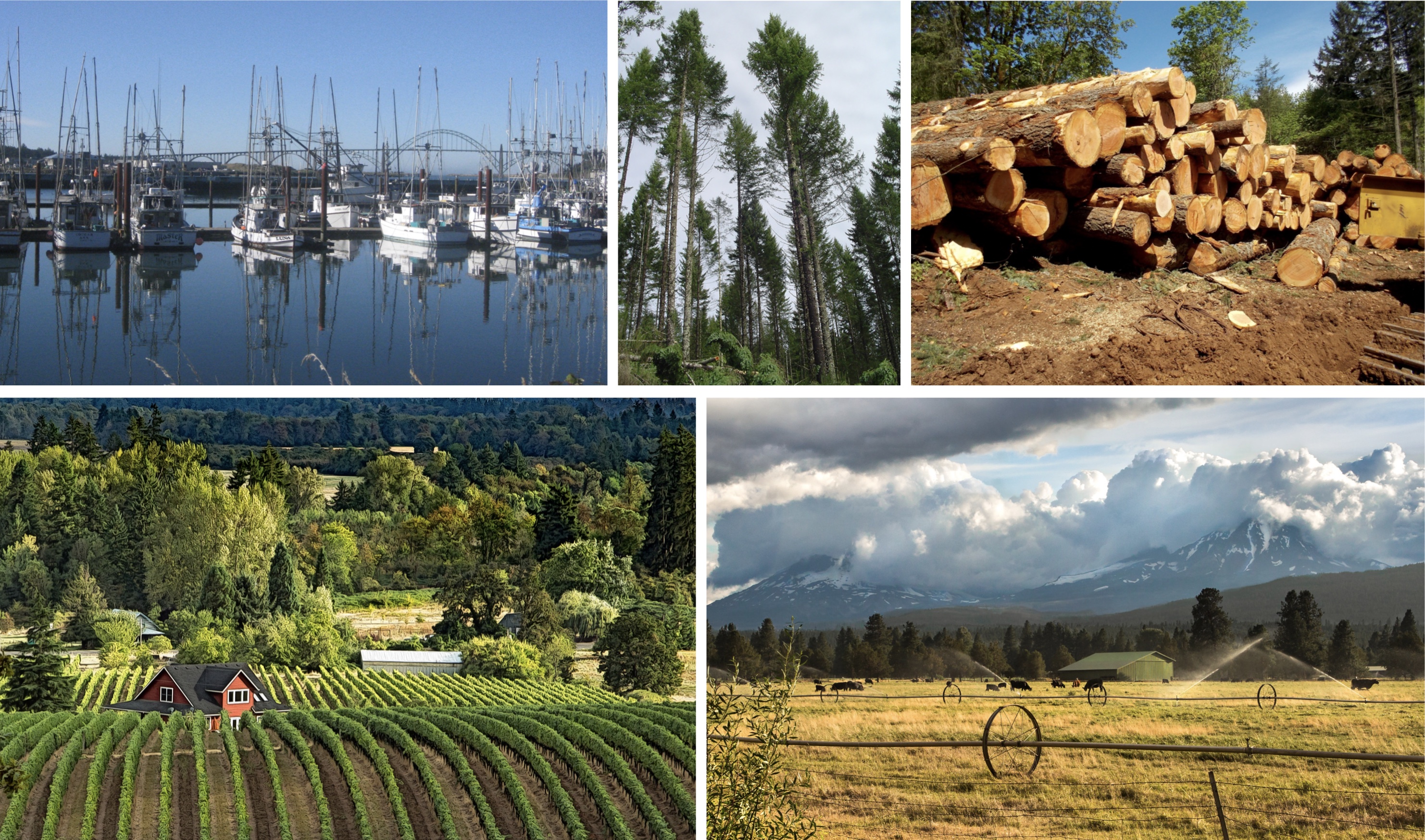 Natural Resources in the Northwest | U.S. Climate Resilience Toolkit