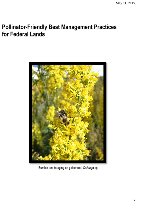 Pollinator-Friendly Best Management Practices for Federal Lands