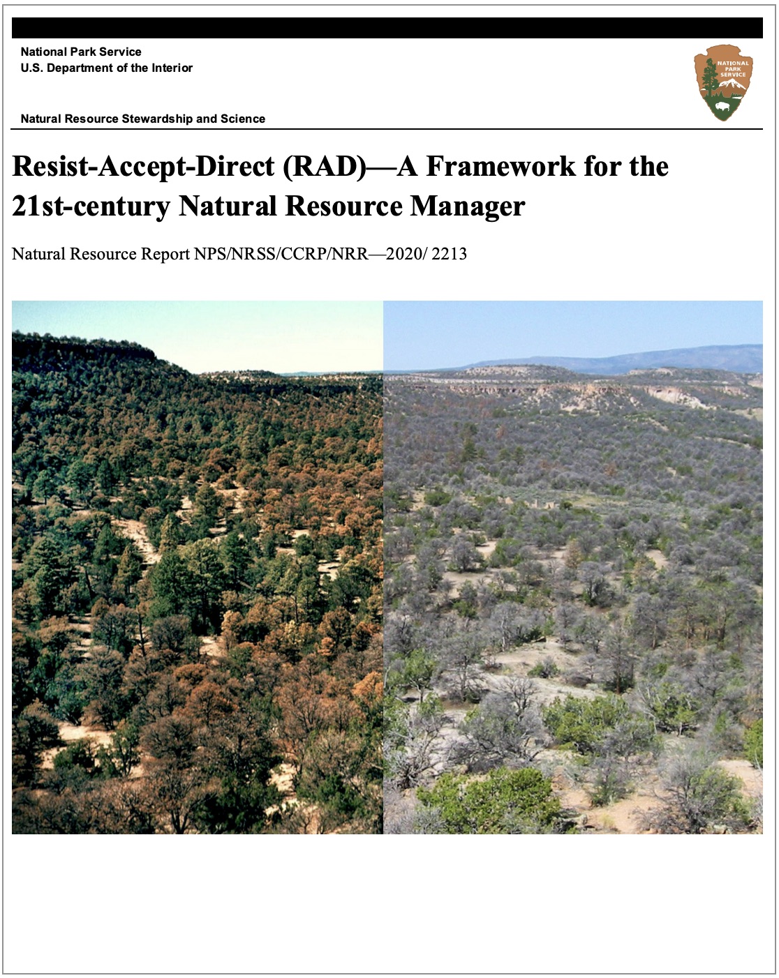 Cover of RAD report with a split view of stressed and dead trees