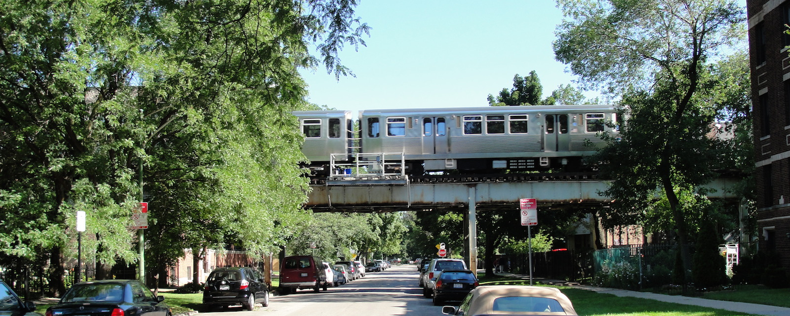 Fortifying Chicago's Urban Forest