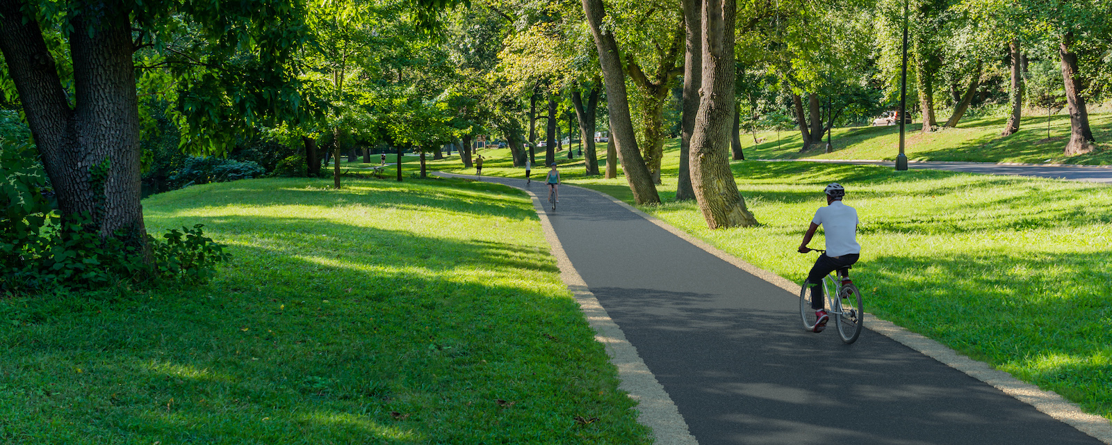 Realizing Co-Benefits of Multimodal Roadway Design and Gray and Green Infrastructure