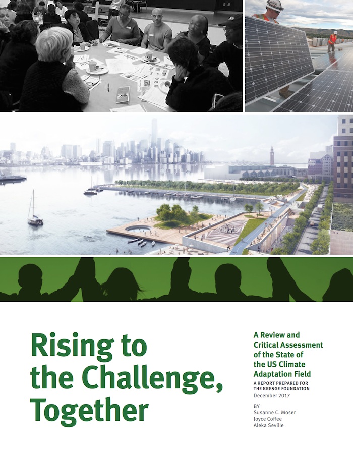 Rising to the Challenge, Together: A Review and Critical Assessment of the State of the US Climate Adaptation Field