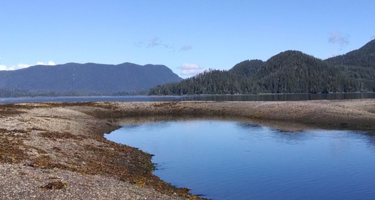 Alaskan Tribes Join Together to Assess Harmful Algal Blooms