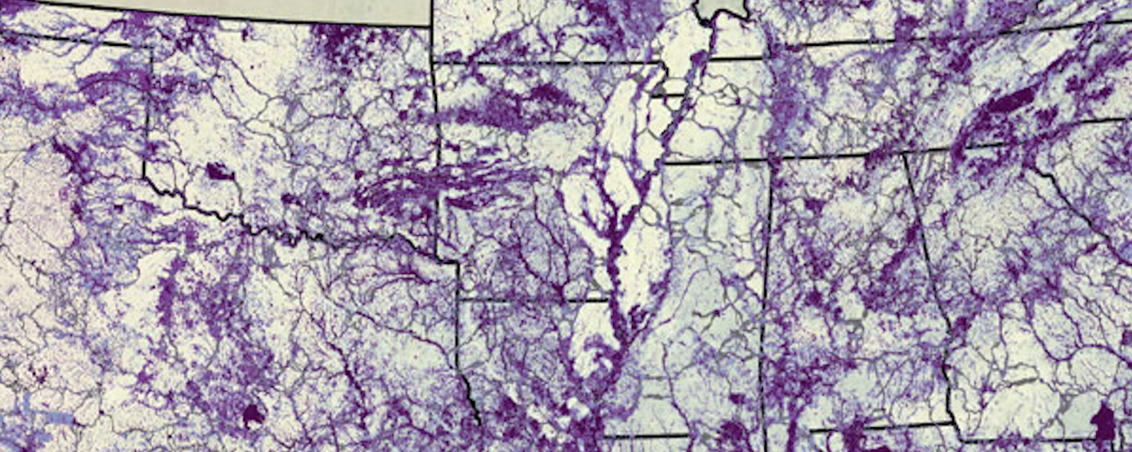 Southeast Conservation Blueprint