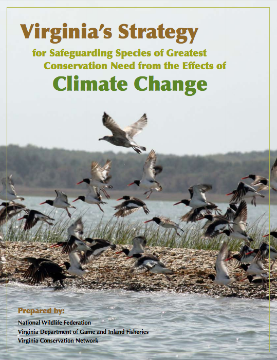 Virginia's Strategy for Safeguarding Species of Greatest Conservation Need from the Effects of Climate Change