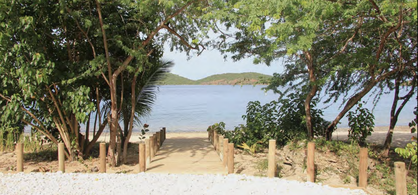 A Community Effort Stems Runoff to Safeguard Corals in Puerto Rico