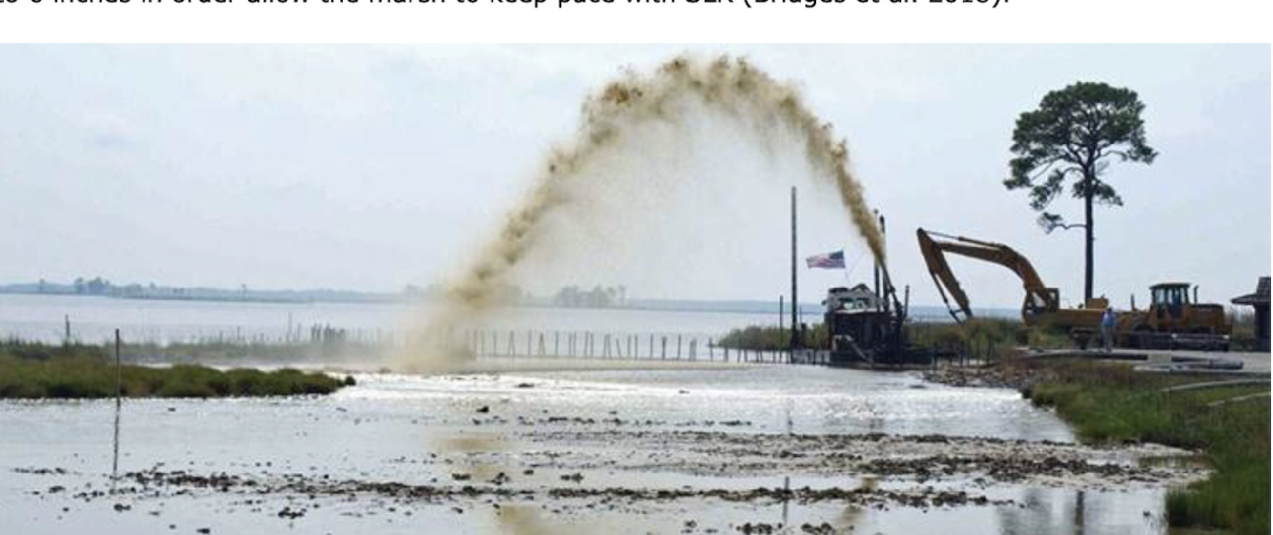 Nature-Based Solutions for Coastal Highway Resilience: An Implementation Guide