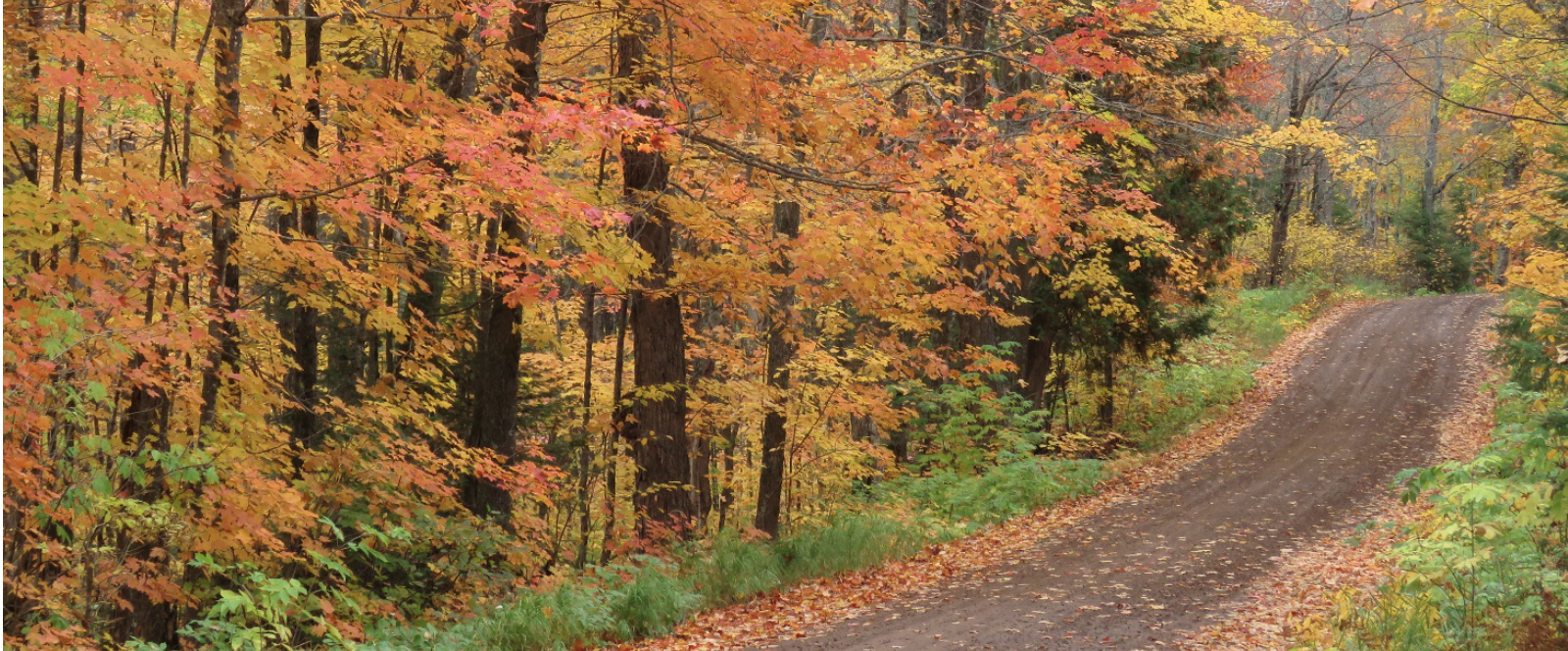 A Quick Guide to Adaptation Planning for Natural Resources Professionals