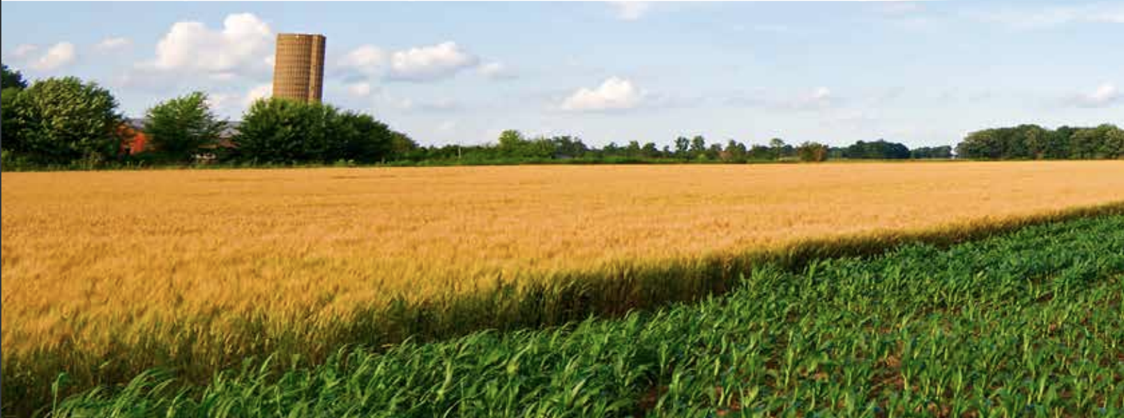 Adaptation Resources for Agriculture - Responding to Climate Variability and Change in the Midwest and Northeast
