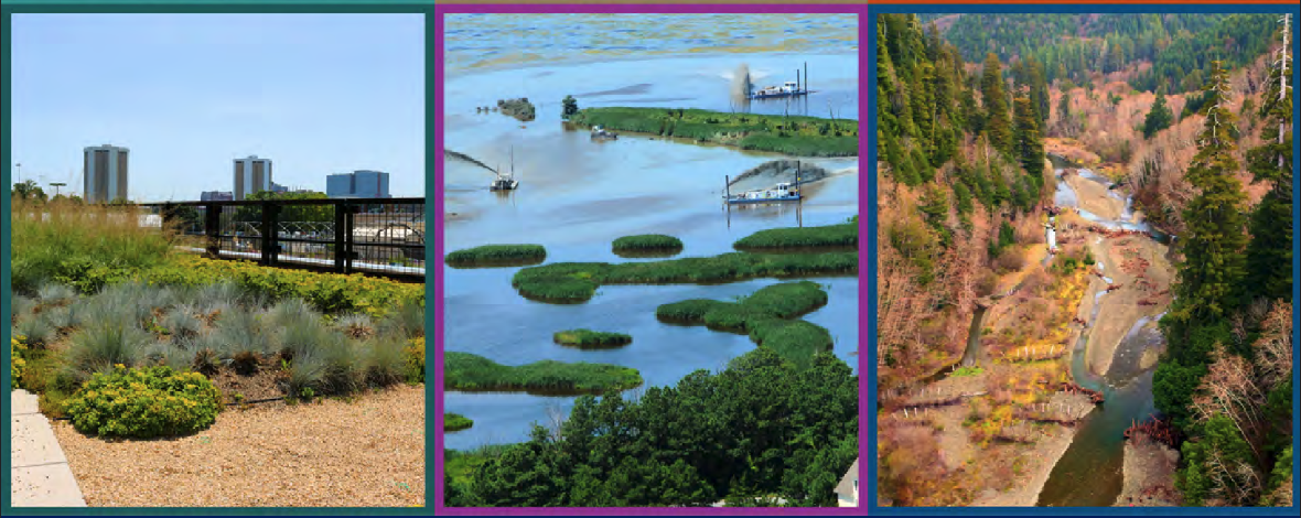DOI Nature-based Solutions Roadmap