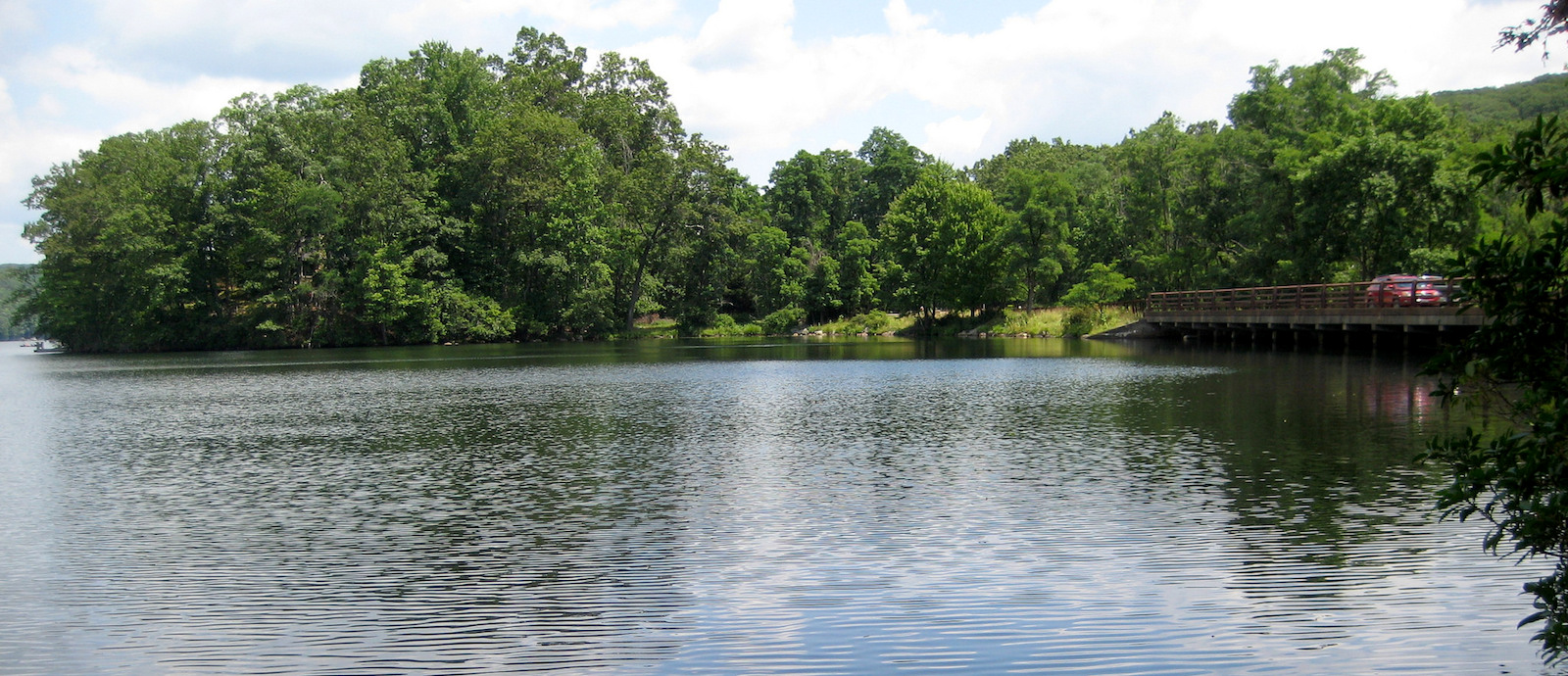 Green or Gray? Choosing to Preserve Water Quality